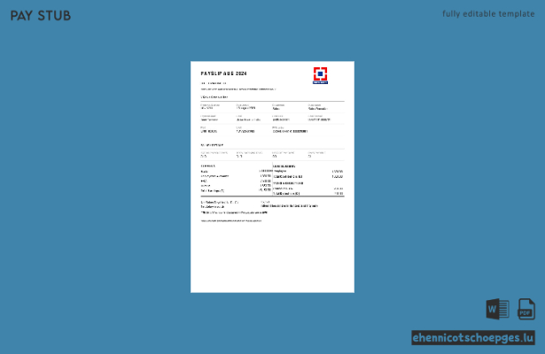 HDFC Bank Gehaltsabrechnungsbeispiel (Vorschau)